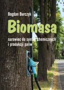Biomasa-surowiec-do-syntez-chemicznych-i-produkcji-paliw.jpg
