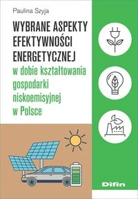 wybrane aspekty efektywności.jpg