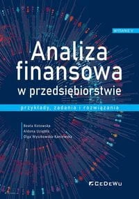 analiza finansowa 2021.jpg