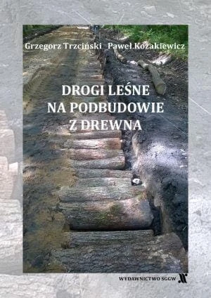 DROGI-LESNE-NA-PODBUDOWIE-Z-DREWNA.jpg
