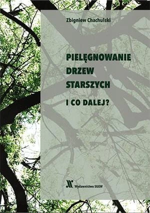 piel.jpg