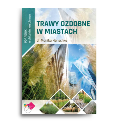 poradnik-architekta-krajobrazu-trawy-ozdobne-w-miastach-.jpg