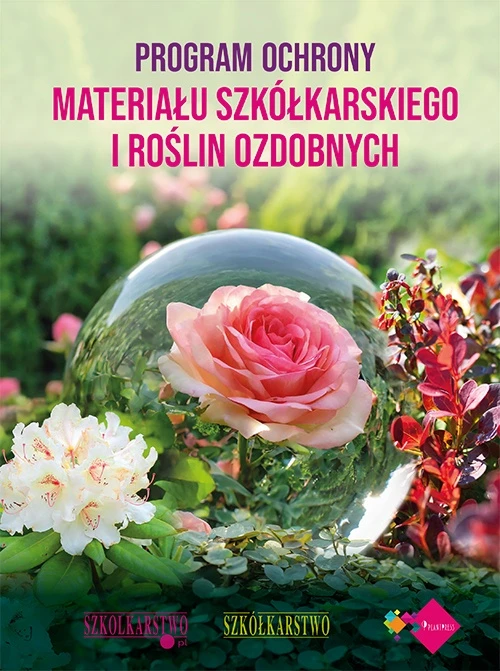 okladka-program-1.jpg