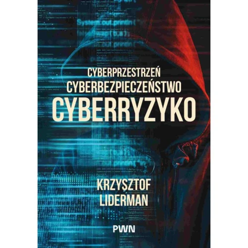 cyberprzestrzen-cyberbezpieczenstwo-cyberryzyko-101326032.jpg