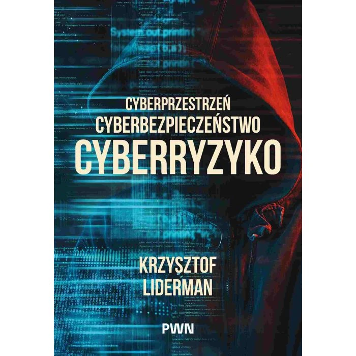 cyberprzestrzen-cyberbezpieczenstwo-cyberryzyko-101326032.jpg